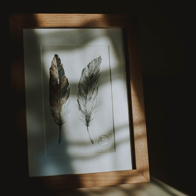 feathers in a frame
